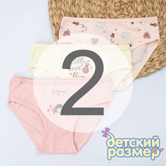 2 (3-4 года)