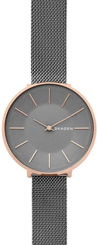 Наручные часы Skagen SKW2689 фото