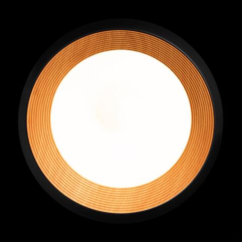 Потолочный светодиодный светильник Loft It Folk 10255/500 Black