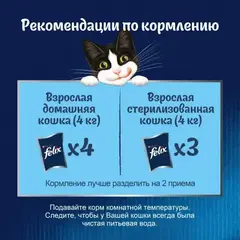 Felix Sensations пауч для взрослых кошек говядина,томат кусочки в желе 75 г