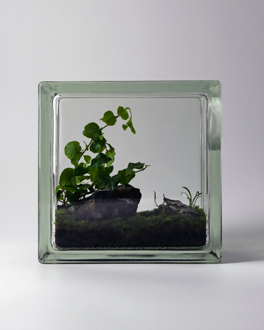 Window 3