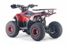 Детский электрический квадроцикл RiverToys LEON 1200W