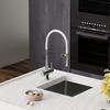 SC4010CHwh Смеситель для кухни SANCOS IMOLA,с гибким изливом, краном для фильтрованной воды, гибким