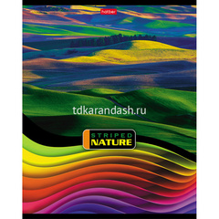 Тетрадь А5 96л линия 