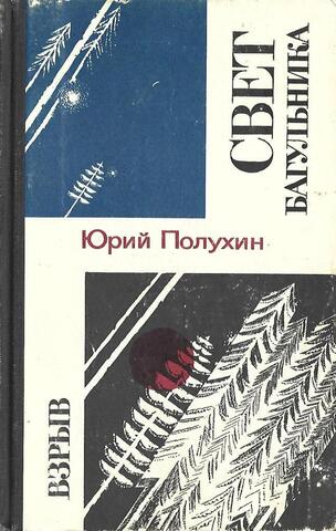 Свет багульника. Взрыв