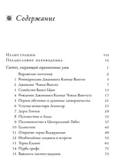 Светоч, озаряющий ограниченные умы. Чогьял Намкай Норбу