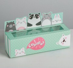 Коробочка для макарун 18х5,5х5,5см