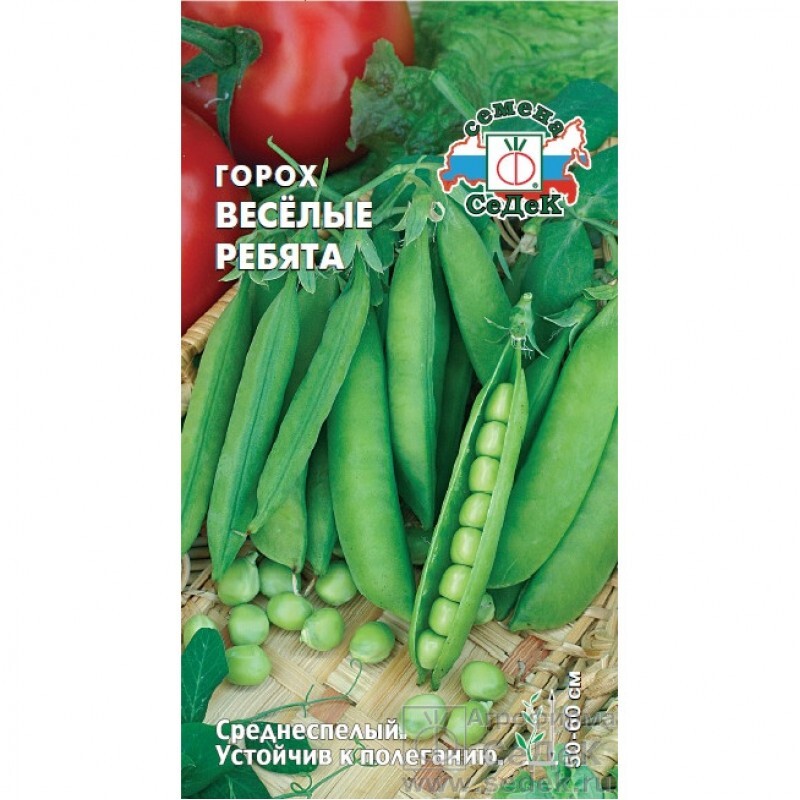 Семена Седек Купить В Спб