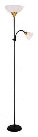 Торшер Arte Lamp A9569PN-2BK