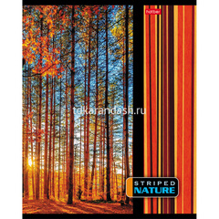 Тетрадь А5 96л линия 