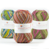 Пряжа Performance Sockwool Prime Multi 061