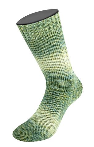 Lana Grossa Meilenweit Woolycell Duo 6008