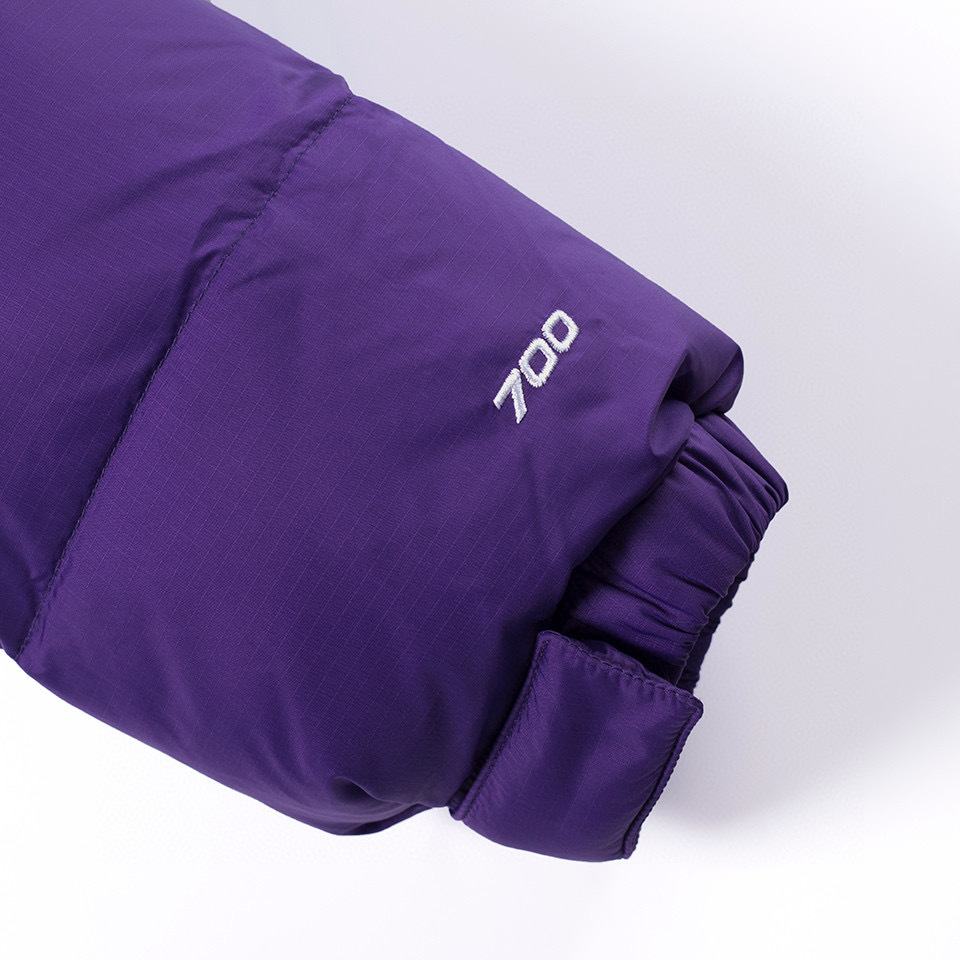 North face puffer jacket 700 top