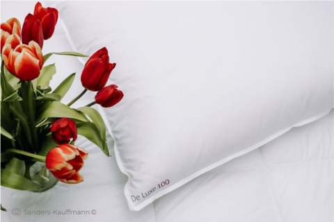 Подушка мягкая 50х70 Kauffmann De Luxe 100