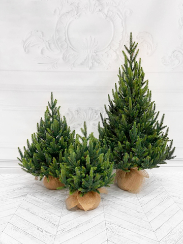 Ель Triumph Tree Королевская 100% литая 60см в мешочке зеленая