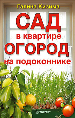 Сад в квартире, огород на подоконнике набор башинком огород на подоконнике