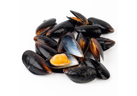 Северные мидии ЖИВЫЕ~1кг