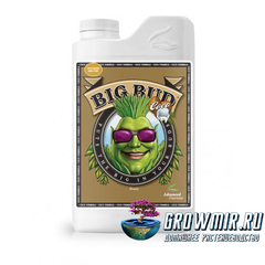 Big Bud Coco Liquid