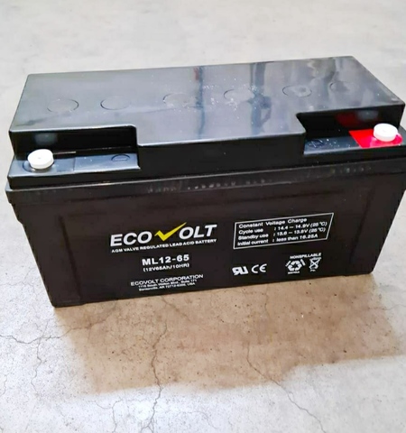 Аккумулятор ECOVOLT ML 12-65