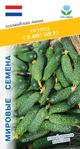 Семена Огурец СВ 4097 ЦВ F1 (Seminis), 5 сем