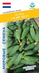 Семена Огурец СВ 4097 ЦВ F1 (Seminis), 5 сем