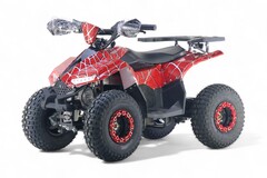 Детский электрический квадроцикл RiverToys LEON 1200W