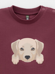 фуфайка  для мальчика  КР 302907/коричневый 1614 к630