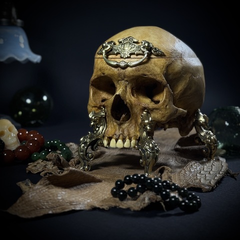 Шкатулка «Headcrab»