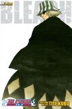 VIZ MEDIA:  Bleach (3-in-1 Edition), Vol. 2