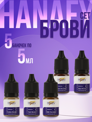 Сет пигментов для татуажа бровей 5 шт по 5 мл