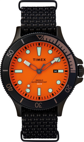 Наручные часы Timex TW2T30200 фото