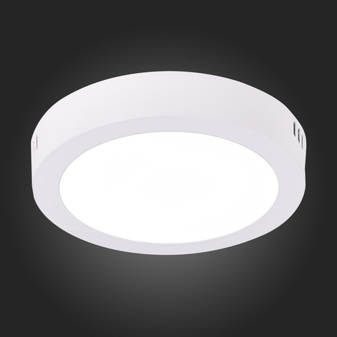 Светильник настенно-потолочный ST Luce ST112.532.12