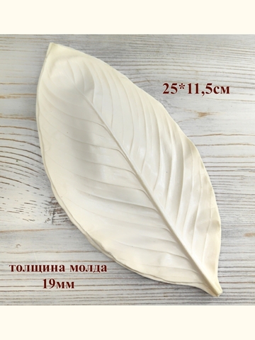 Молд лист 