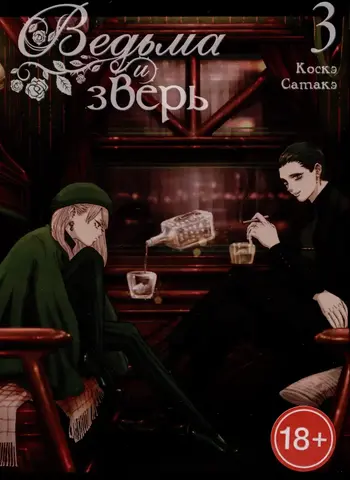 Ведьма и зверь. Том 3