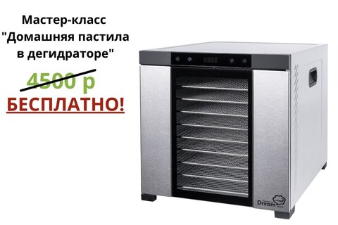 Дегидратор (сушилка) RawMID Dream PRO 2 DDP-10 (промышленный)