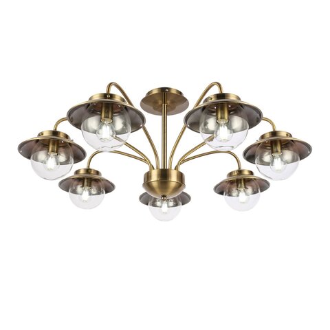 Светильник потолочный Evoluce Garonni SLE110102-07