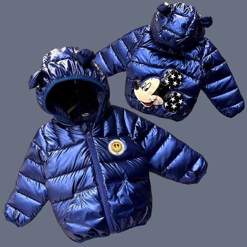 Куртка детская (2-6) 240110-KR4128