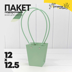 
          Пакет подарочный 12.5х12х8см Ваза для цветов (Зеленый)