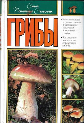 Грюнерт. Грибы