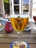 Steenbrugge Blond draft