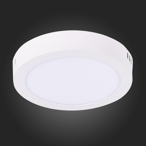 Светильник настенно-потолочный ST Luce ST112.532.12