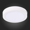 Светильник настенно-потолочный ST Luce ST112.532.12