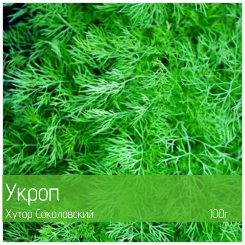 Укроп