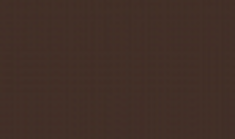REF Аэрозольная эмаль для металлочерепицы и профнастила шоколадно-коричневый, RAL 8017