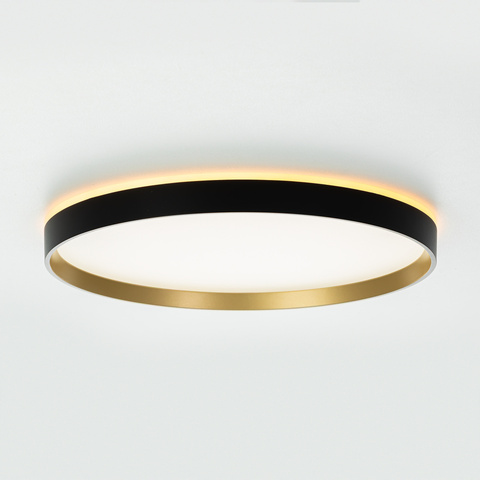 Потолочный светодиодный светильник Citilux Etalon CL750401R LED RGB