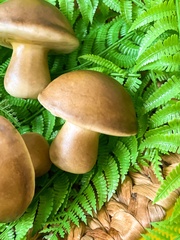 Грибы Белые, крупные, реалистичные, 7*6,5 см, набор 3 штуки