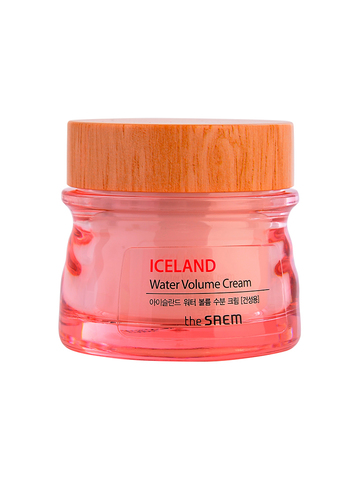 Water Volume Hydrating Cream(For Dry Skin) 80мл
