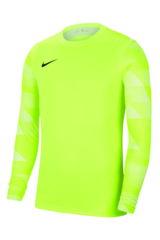 Вратарская кофта Nike Dry Park IV LS GK Junior