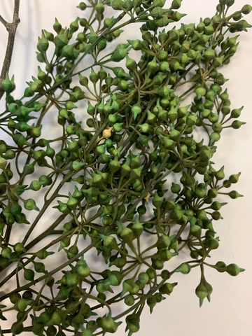 Плоды эвкалипта стабилизированные Зеленый