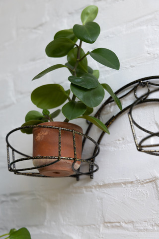 Подставка Настенная Радуга 2